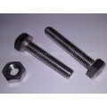 AISI 316 Bolt and Nut